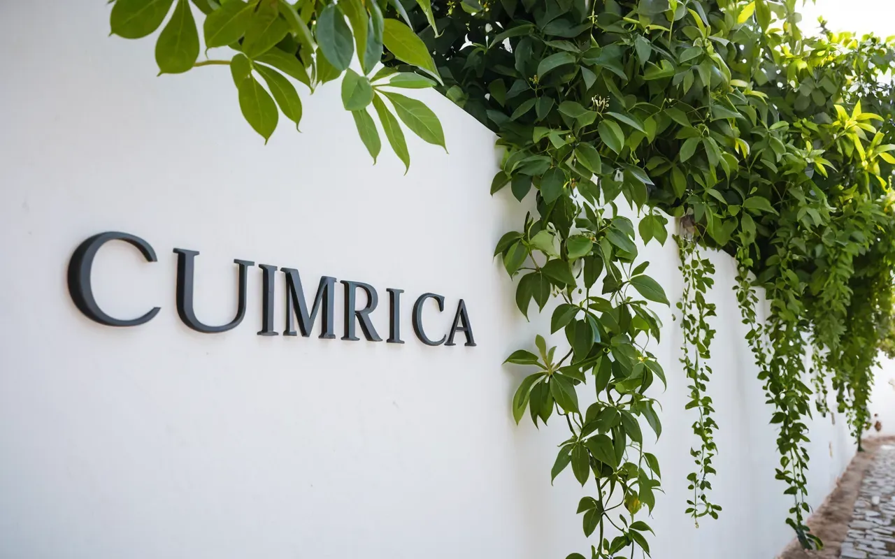 A lush green passiflora vine climbing up a clean white garden wall. The sun casts soft shadows, highlighting the texture of the leaves and tendrils. A neutral outdoor setting with no text or people.